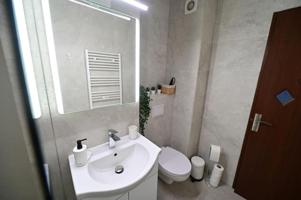 Flh - Apartament Damar Sibiu Exterior photo