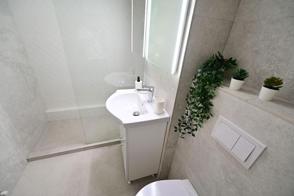 Flh - Apartament Damar Sibiu Exterior photo